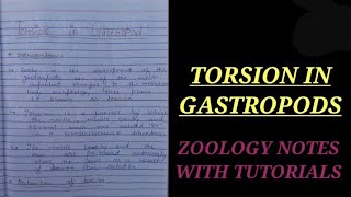 TORSION IN GASTROPODA IN HINDI torsioningastropoda zoologynotes biology vbu bbmku bsc1syearzo [upl. by Efthim]