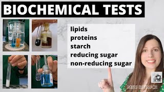 Alevel BIOCHEMICAL TESTS test for starch reducing sugars nonreducing sugars proteins lipids [upl. by Scott]