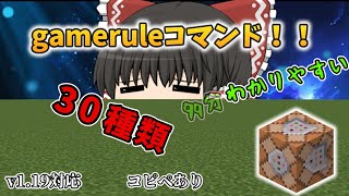 ゲームルールコマンド30種類を5分で解説！！【マイクラ・マインクラフト・Minecraft】Ver11971 [upl. by Frasier323]