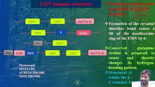 Photoreceptors Part3 THE LOV LIGHT VOLTAGE AND OXYGEN AND UVR SENSORS IN PLANTS [upl. by Dnomaid]