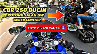 SUNMORI DI GEBER LIMITER CBR 250 BUCIN  GSX 600 AUTO BERI PAHAM 😈 [upl. by Hekker]