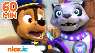 Sea Patroller Rescues  PAW Patrol  Cartoons for Kids Compilation [upl. by Rotberg249]