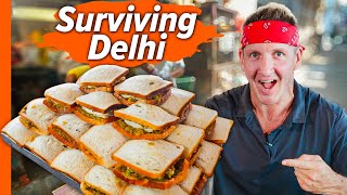 How India Survives without Meat Delhis AntiMeat Street Food [upl. by Korb779]