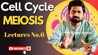 Meiosis1CELL CYCLE amp CELL DIVISION in One Shot  All Theory Tricks amp PYQs Covered  Class 11 NEET [upl. by Brod]