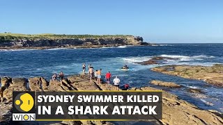 Sydney swimmer killed in a shark attack  First fatal incident since 1963  World English News [upl. by Ahsito]