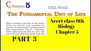 Part 3 The Fundamental unit of Life Class 9 Science Chapter 5 Biology CBSE NCERT [upl. by Allicerp]