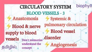 Anastomosis Blood amp nerve supply to blood vessels  Systemic amp pulmonary circulation in tamil [upl. by Alakim]