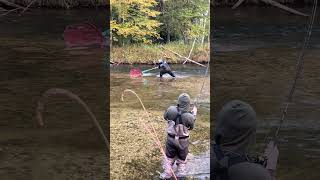 Catching King Salmon fishing freshwaterfish kingsalmon salmonrun salmon michigan fish [upl. by Ecinnahs554]