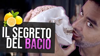 Cose da sapere quando BACI La neuroscienza del limone [upl. by Staten3]