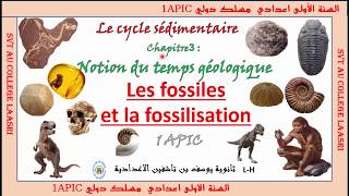 fossiles et fossilisation 1ére année du collège parcours international [upl. by Kellyann184]