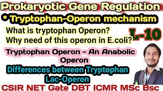 Prokaryotic Gene RegulationL10 Tryotophan Operon mechanism in Bacteriacsir tryptophan Operon [upl. by Wiatt]