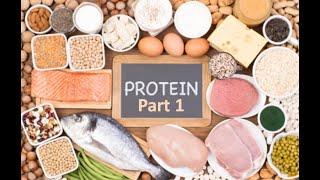 proteins biochemistry protein structure protein synthesis protein foods protein powder [upl. by Zebaj19]