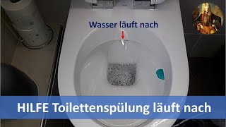 Toilettenspülung Wasser läuft nach  Was tun [upl. by Cyna311]