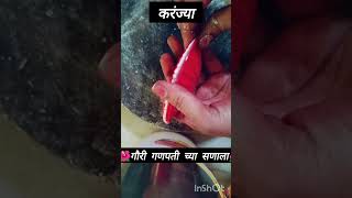 श्री स्वामी समर्थ विचार 🙏 🌹trending viralvideos swamisamarth Ganpati Bappa Prasad [upl. by Ymmas]