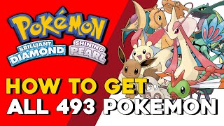 Pokemon Brilliant Diamond amp Shining Pearl How To Get All 493 Pokemon All Pokemon Locations BDSP [upl. by Gnoh241]