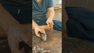 Fish cutting skills short shorts [upl. by Anirdnajela]