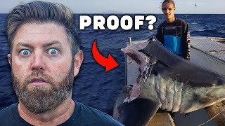 Did Megalodon Bite This Shark In Half Wildlife Expert Reacts [upl. by Imena]