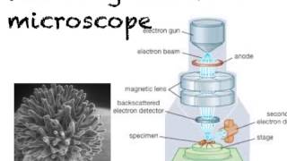 microscopes [upl. by Duffie201]