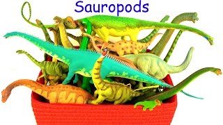 Learn Dinosaur Names  Dinosaur Box  Sauropods  Kids Toys Review [upl. by Solitta]