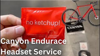 Canyon Endurace Headset Service [upl. by Huang]