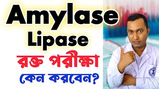 Amylase Lipase Blood test  Amylase Lipase পরীক্ষা কেন করবেন  Amylase Lipase normal range [upl. by Sluiter]