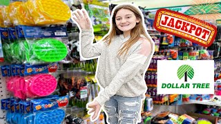 HIT THE FIDGET JACKPOT AT DOLLAR TREE 🤑 NO BUDGET 🤑 [upl. by Llerreg]