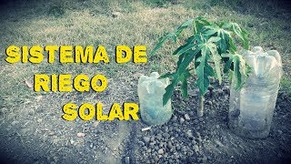 Como Hacer un Sistema de Riego Solar – Riego a Goteo [upl. by Giguere925]