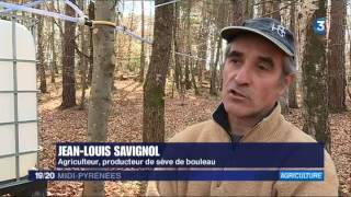 Reportage FRANCE 3 seve de bouleau bio Ariège Pyrénées 2017 [upl. by Olaf]