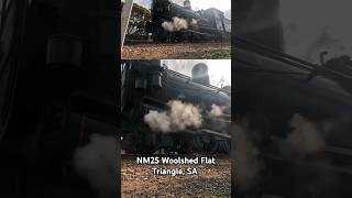 Yx141 hissing steam at Woolshed Flat Triangle GoPro shorts seb trains train steamtrains fyp [upl. by Aieki]