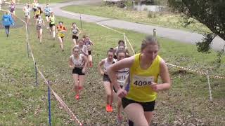 Highlights Under 15 Girls  Lindsays National XC 2019 [upl. by Yleek]