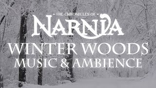 Chronicles of Narnia  Winter Woods Music amp Ambience  Relaxing Music with Sounds of Winter [upl. by Hicks229]