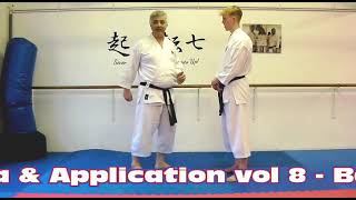 Bassai Dai Bunkai Strategies 2024 week 19 koryu karate oyo jutsu [upl. by Fancy]