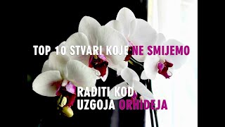 Orhideje Top 10 stvari koje NE smijete raditi  Za početnike [upl. by Anilehs198]