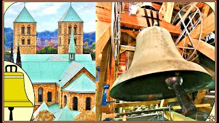 Münster Dom Glocken der Katholischen Kirche Plenum [upl. by Lleral514]