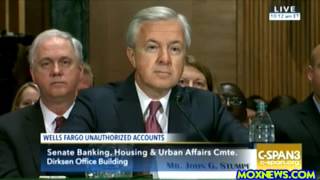 Wells Fargo CEO Grilled At Hearing On Fraudulent Accounts SCAM On Their Customers [upl. by Fox]