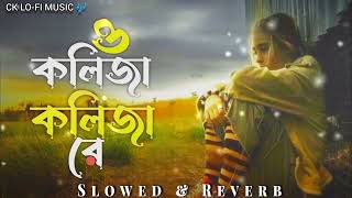 ও কলিজা কলিজা রে Slowed ampReverbO Kolija Kolija Re New Song  Bangala Tiktok Viral Song  Sad Song [upl. by Tayyebeb]