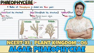 Plant Kingdom Lec 6 Algae Phaeophyceae Class 11 NEET Neetology [upl. by Alamat56]