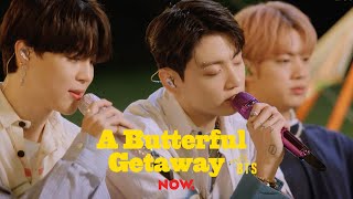 BTS 방탄소년단 봄날 Spring Day  A Butterful Getaway with BTS [upl. by Eussoj499]