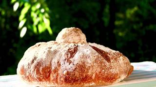 how to knead 100 hydration dough  Moña gallega best Spanish Rustic Bread [upl. by Yrrehc]