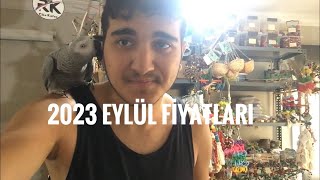 2023 Jako Papağanı Fiytları EYLÜL [upl. by Deraj58]