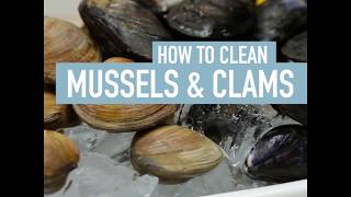 How To Clean Mussels amp Clams  How To  Safeway [upl. by Naitsirhk199]