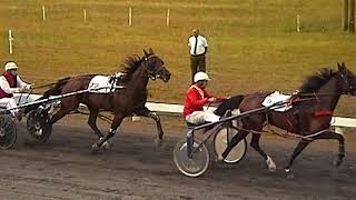 AMMAN VALLEY HARNESS RACES 392000 NOVICE HEAT 1 [upl. by Olympium305]