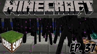 Minecraft Cube SMP Enderman Farm  Ep 37 [upl. by Raquela]