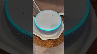 Alexa’s question of the day 10032024 alexa viralvideo viralshorts halloween2024 amazonalexa [upl. by Garvey7]