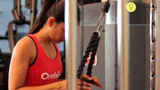 How To Do CABLE ROPE TRICEPS PUSHDOWN [upl. by Marnia]