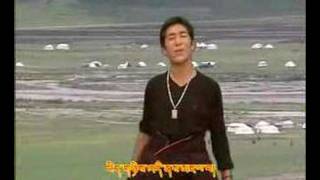 Tibetan Song Yonten Gonpo Tseden Lhayi Bumo [upl. by Eednahs]