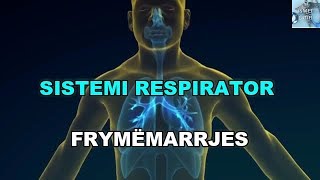 Sistemi Respirator apo i Frymëmarrjes  E Ripërpunuar [upl. by Salvay]