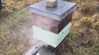 Oxalic acid vaporizer for treating Varroa Mite [upl. by Ranchod60]