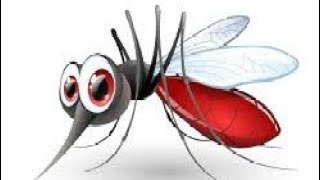 കൊതുകിനെ കൊല്ലണ്ട രീതി mosquito how to kill mosquito [upl. by Zoba]