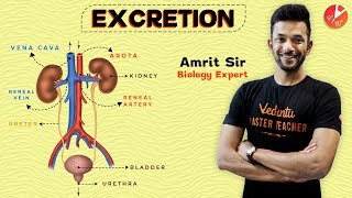 ANIMATED Excretion  Excretory System  Life Processes  Class 10 Science Biology  Vedantu Class 10 [upl. by Lisha453]